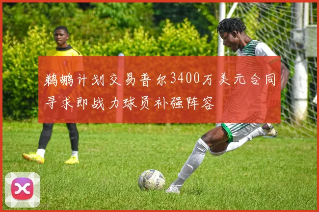 鹈鹕计划交易普尔3400万美元合同寻求即战力球员补强阵容